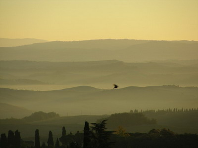 Volo di uccelli all'alba davanti alle crete di Buonconvento visto da Grotti 