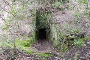 La rampa che porta alla camera mortuaria della tomba etrusca nei boschi del Castello di Grotti