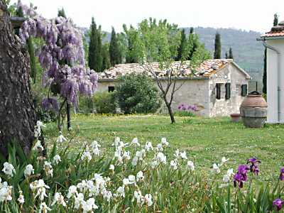 L'agriturismo Forno nel podere Vignagrande a 1,5 km dalle Terme di Saturnia, in Toscana